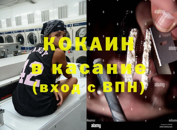 прущие грибы Богородск