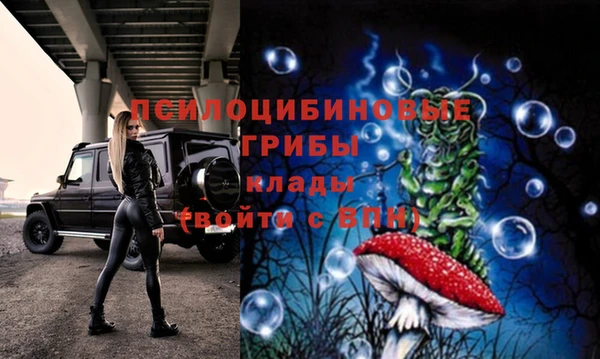 прущие грибы Богородск