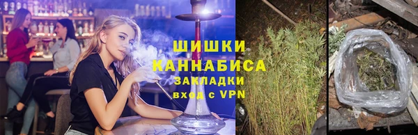 прущие грибы Богородск