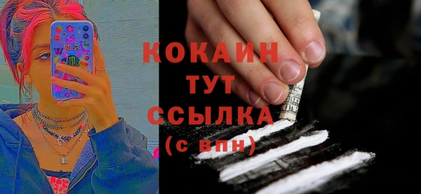 мескалин Богородицк