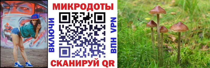 Галлюциногенные грибы прущие грибы  сколько стоит  Суворов 